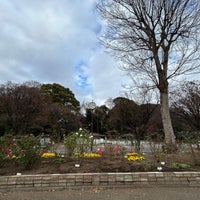 Photo taken at 戸山公園 (箱根山地区) by のすけ。 on 1/2/2024