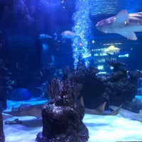 Photo taken at Aquarium Restaurant by Gabriel H. on 2/13/2020