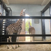 Photo taken at Giraffe House by Suz E. on 9/27/2020
