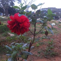 Photo taken at Cemitério da Saudade by roberto u. on 8/12/2014