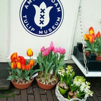 Amsterdam Tulip Museum Jordaan Amsterdam Noord Holland