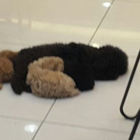 Maybank 29 31 Jalan Puteri 1 4