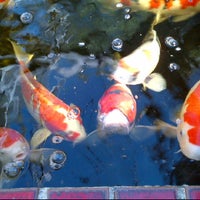 Photo taken at Laguna Koi Ponds by Aj P. on 3/14/2012