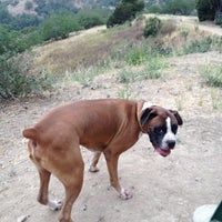 Photo taken at Mt. Washington Dog Trail by James S. on 6/14/2012