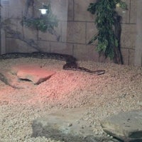 Foto diambil di Reptilia oleh Johnny D. pada 4/22/2012
