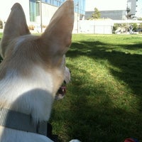 Photo taken at LAPD Lawn Dog Park by Mario R. on 6/17/2012