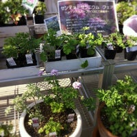 生活の木 薬香草園 2 Tips From 312 Visitors 生活の木 薬香草園 2 Tips From 312 Visitors