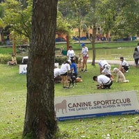 Central Park, Bandar Utama - Park