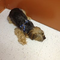 Photo taken at New London Veterinary Clinic by DJ BIS on 3/25/2012