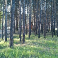 Photo taken at Пурга by Олег Ю. on 6/6/2012