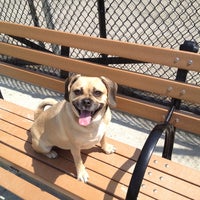 Photo taken at J. Hood Wright Dog Park by Mark B. on 4/21/2012
