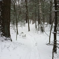 Photo taken at Bedford Burlington Woods by Johnny W. on 2/27/2012