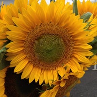 Photo taken at Lincoln Square Farmers Market by Maita on 7/31/2012