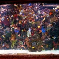 3/2/2012에 Carla J.님이 The Mirage Aquarium에서 찍은 사진