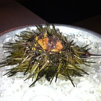 Hungry Cat (Now Closed) - Central Hollywood - 80 tips