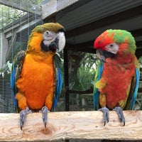 Bird Gardens Of Naples Non Profit In Naples