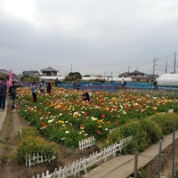 花の里フローラルビレッジ名倉 南房総市 19 Visitors 花の里フローラルビレッジ名倉 南房総市 19 Visitors