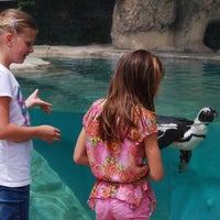 Photo taken at The Children&amp;#39;s Zoo at Celebration Square by The Children&amp;#39;s Zoo at Celebration Square on 4/28/2015