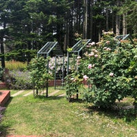 いわみざわ公園 バラ園 志文町1015