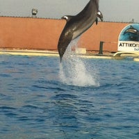 Das Foto wurde bei Attica Zoological Park von Anna 🌹 P. am 11/4/2012 aufgenommen
