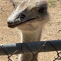 Das Foto wurde bei Wildlife World Zoo, Aquarium &amp;amp; Safari Park von Debi F. am 10/7/2023 aufgenommen