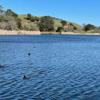 Photo taken at Palo Alto Foothills Park by Gopal P. on 3/13/2021