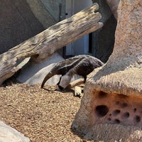 Photo taken at San Francisco Zoo by Lars B. on 7/30/2023