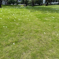 Review Guangzhou Int'l Convention & Exhibition Center (Guangzhou Int'l Convention & Exhibition Center 广州国际会议展览中心)