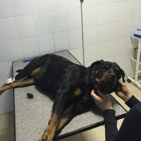 Photo taken at Центр ветеринарной медицины «Друг» by Tatyana F. on 12/17/2015