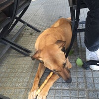 4/24/2016 tarihinde mariloo .ziyaretçi tarafından Rialto Caffe Wine Bar'de çekilen fotoğraf