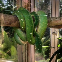 Photo taken at Bali Reptile Park by Timur G. on 4/28/2019