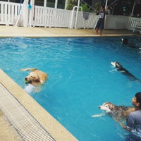 Photo taken at Sa-by-jai Dog Swimming Pool by Pornsumond P. on 8/23/2015