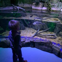 Foto tirada no(a) SEA LIFE Charlotte-Concord Aquarium por Beth em 12/13/2019