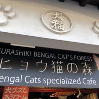 倉敷の猫屋敷 中央1 1 3