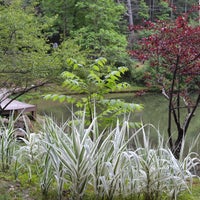 Foto scattata a The Lilly Pad Village da The Lilly Pad Village il 9/18/2015