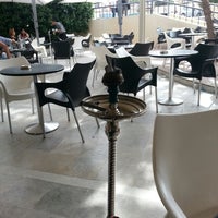 Le Papillon Vert تونس Gouvernorat De Tunis - 