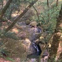 Photo taken at Cascade Falls by Mengying L. on 6/15/2020