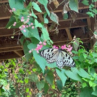 Photo taken at Peggy Notebaert Nature Museum by Mengying L. on 3/5/2020