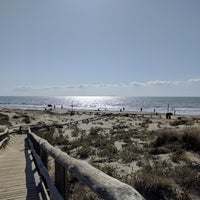 Spiaggia Libera Calambrone Spiaggia