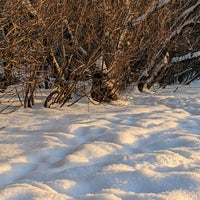 Photo taken at Primorsky District by Stefano P. on 1/11/2022