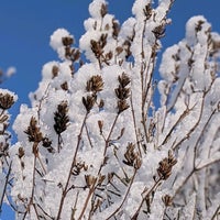 Photo taken at Primorsky District by Stefano P. on 2/9/2021