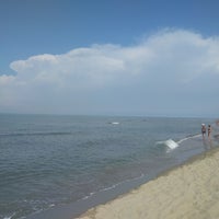 Spiaggia Libera Calambrone Spiaggia