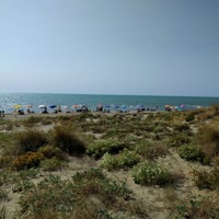 Spiaggia Libera Calambrone Spiaggia