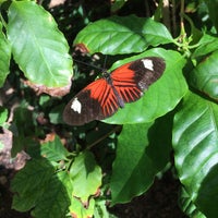 Photo taken at Butterfly Kaleidoscope Exhibit by Yvette L. on 6/19/2017