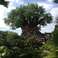 Photo taken at Disney&amp;#39;s Animal Kingdom by Mike L. on 5/21/2013