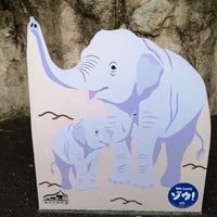 福岡市動物園 ゾウ舎 48人の訪問者 福岡市動物園 ゾウ舎 48人の訪問者