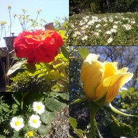Monte Salviano Mountain