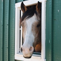 11/3/2013にApril N.がBergen County Equestrian Centerで撮った写真