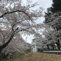 Photo taken at 白山公園 by noi on 3/28/2020