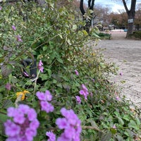 Photo taken at Higashimurayama Chuo Park by noi on 11/11/2023